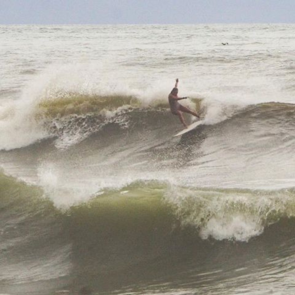 Meet your Posher, Ellen